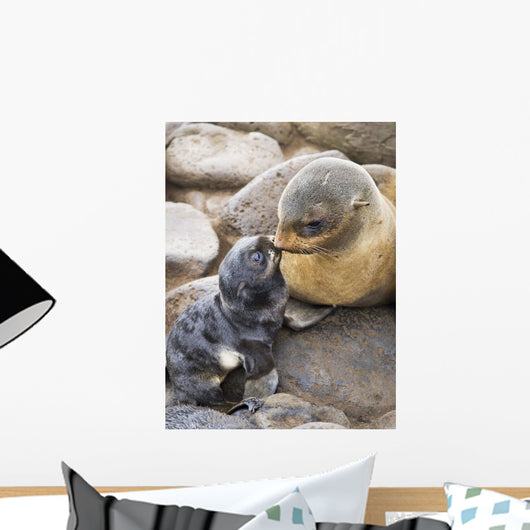 Portrait Of A Northern Fur Seal Mother And Newborn Pup Wall Mural