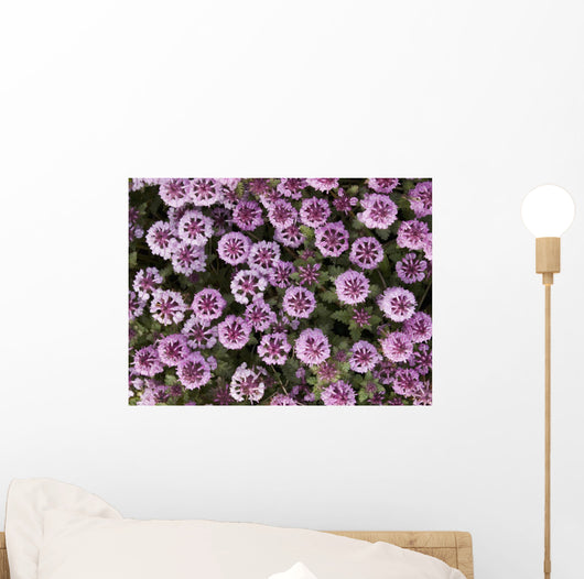 Close Up View Of Whorled Lousewort Flowers Wall Mural