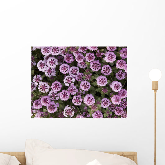Up Whorled Lousewort Flowers Wall Mural