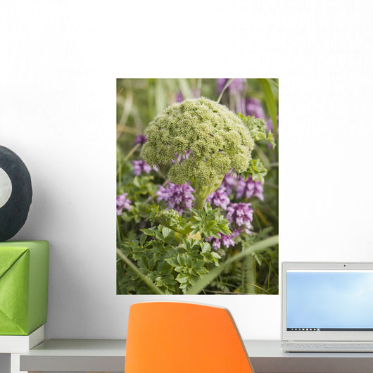Up Whorled Lousewort Flowers Wall Mural