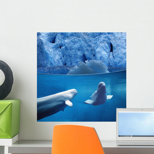 Belugas Underwater W/View Of Glacier Composite Wall Mural
