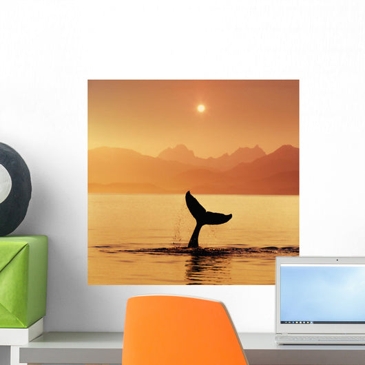 Silhouetted Humpback Whale Tail At Sunset Wall Mural