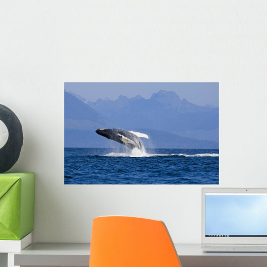 Humpback Whale Wall Mural