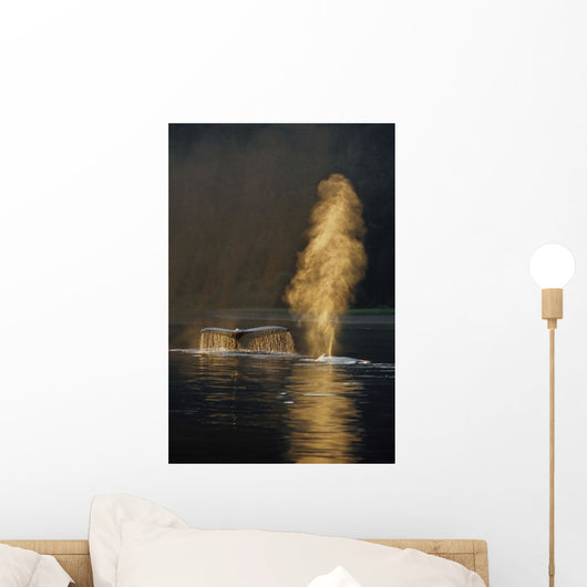 Pair Of Humpback Whales Swimming Wall Mural