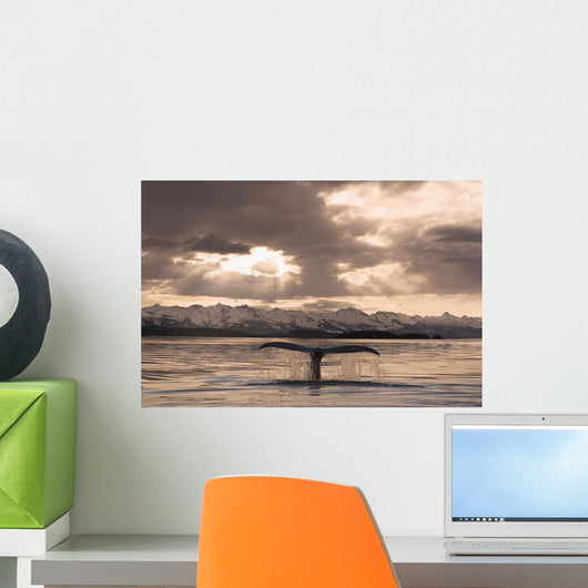 The Fluke Of A Humpback Whale Rises Wall Mural