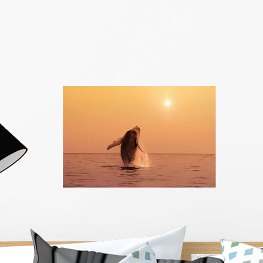 Humpback Whale Breaching In Inside Passage Se Ak Summer Backlit Wall Mural