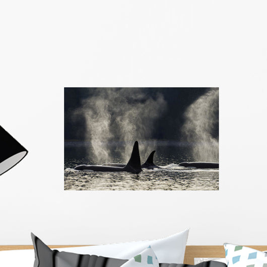 Composite Wall Mural