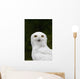 Portrait Of A Male Snowy Owl At Bird Tlc Wall Mural