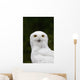Portrait Of A Male Snowy Owl At Bird Tlc Wall Mural