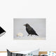 A Raven Perched On A Snow Bank, Girdwood, Southcentral Alaska, Winter Wall Mural