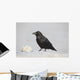 A Raven Perched On A Snow Bank, Girdwood, Southcentral Alaska, Winter Wall Mural
