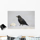 A Raven Perched On A Snow Bank, Girdwood, Southcentral Alaska, Winter Wall Mural