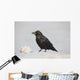 A Raven Perched On A Snow Bank, Girdwood, Southcentral Alaska, Winter Wall Mural