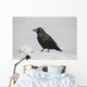 A Raven Perched On A Snow Bank, Girdwood, Southcentral Alaska, Winter Wall Mural