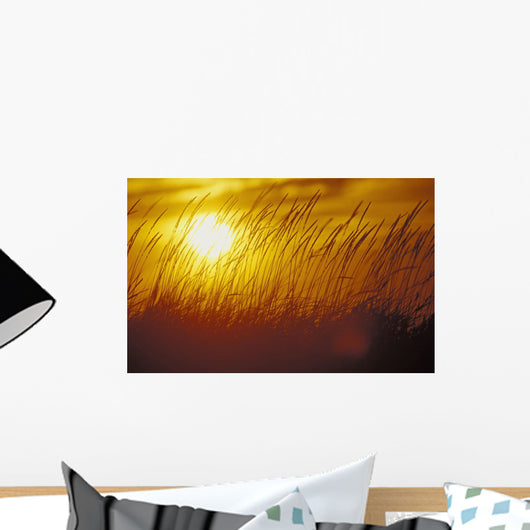 Tall Grass Backlit By Sunset Sc Ak Autumn Silhouette Wall Mural