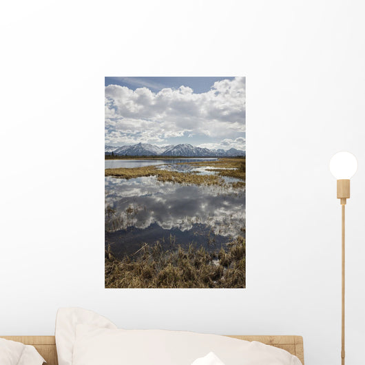 Scenic View Of Clouds Reflecting In Knob Lake Along The Glenn Highway Wall Mural