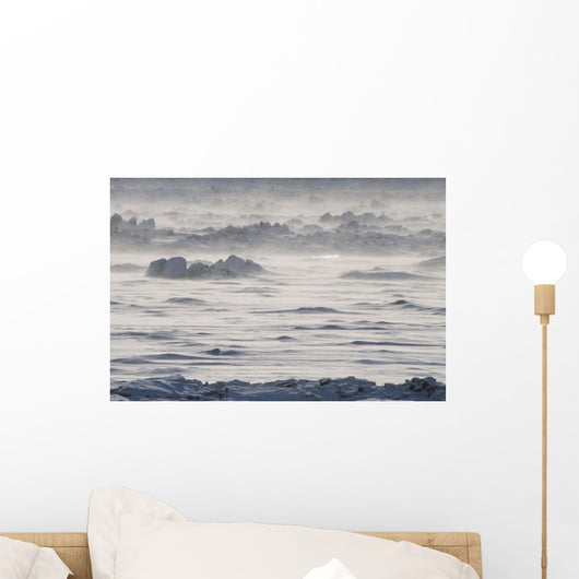 Winter Wind Storm W/ Blowing Snow @ Turnagian Arm Sc Ak Winter Scenic Wall Mural
