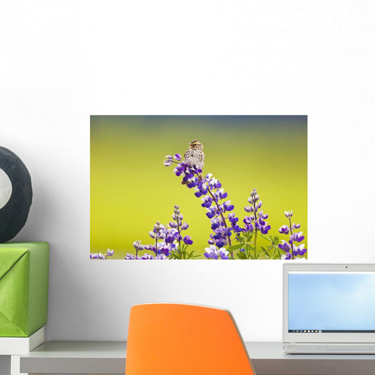 A Savannah Sparrow Singing While Perch On A Lupine Blossom Wall Mural