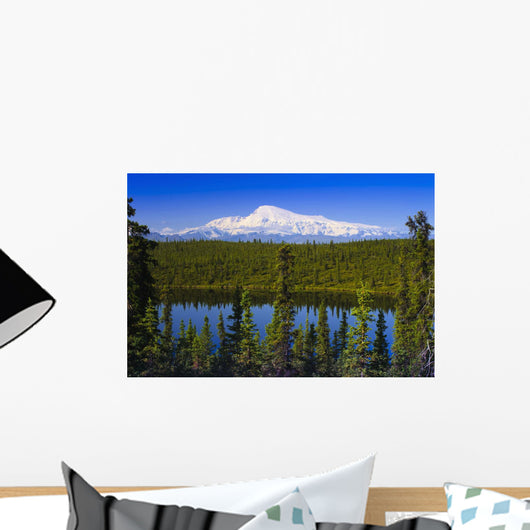 View Of Mount Sanford From Long Lake Wall Mural