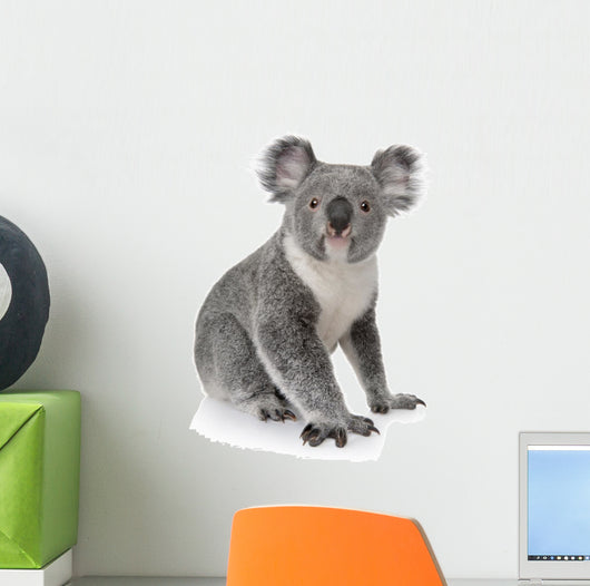 Side View of Young Koala Wall Decal