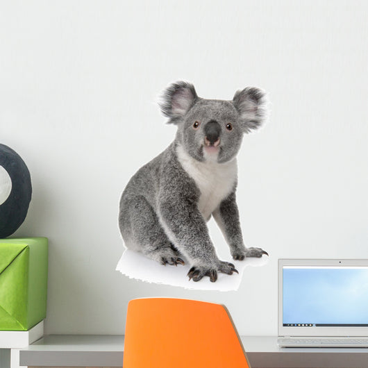 Side View of Young Koala Wall Decal