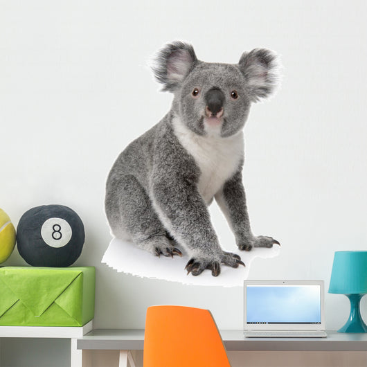 Side View of Young Koala Wall Decal