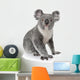 Side View of Young Koala Wall Decal