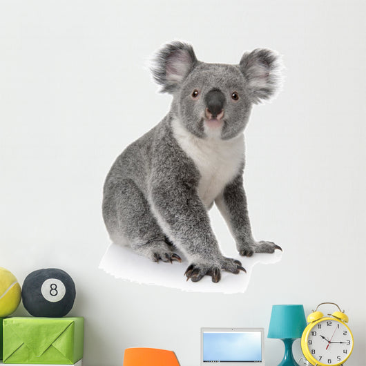 Side View of Young Koala Wall Decal