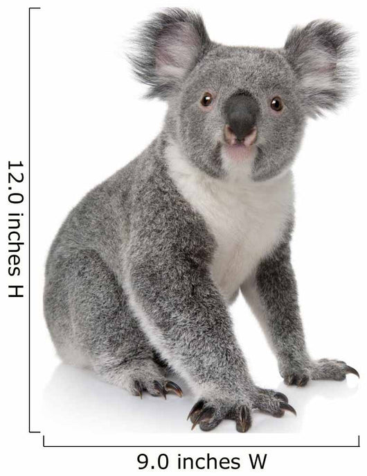 Side View of Young Koala Wall Decal