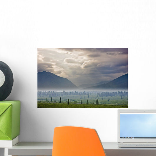 Atmospheric Scenic Of Broad Pass And Boreal Forest Wall Mural