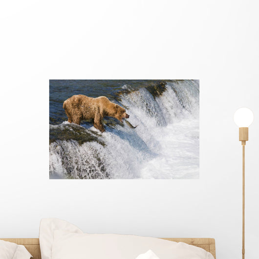 Adult Brown Bear Fishing For Salmon At Top Of Brooks Falls Wall Mural
