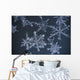Frost Crystal On Glass Kodiak Isl Southwest Ak Winter Detail Wall Mural