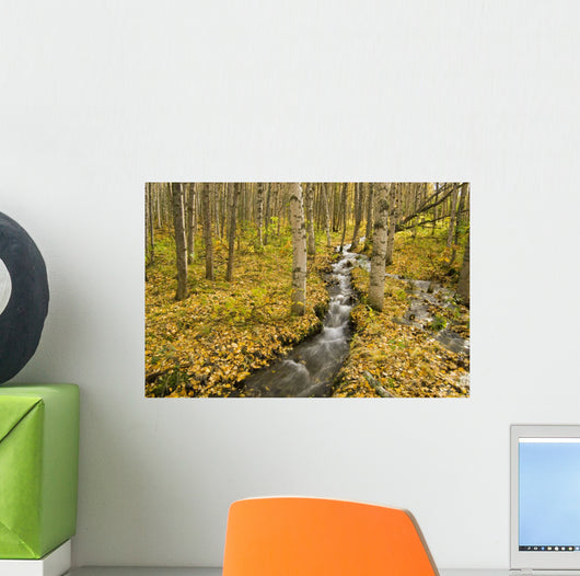 Small Creek Flows Through Autumn Leaf Covered Forest Floor Wall Mural