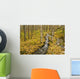 Small Creek Flows Through Autumn Leaf Covered Forest Floor Wall Mural