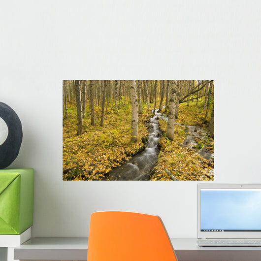 Small Creek Flows Through Autumn Leaf Covered Forest Floor Wall Mural