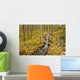 Small Creek Flows Through Autumn Leaf Covered Forest Floor Wall Mural