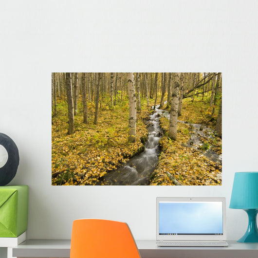 Small Creek Flows Through Autumn Leaf Covered Forest Floor Wall Mural