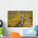 Small Creek Flows Through Autumn Leaf Covered Forest Floor Wall Mural