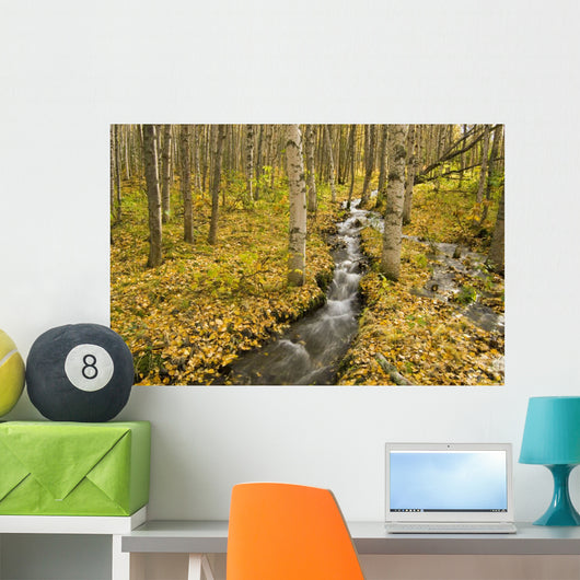 Small Creek Flows Through Autumn Leaf Covered Forest Floor Wall Mural