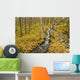 Small Creek Flows Through Autumn Leaf Covered Forest Floor Wall Mural