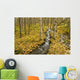 Small Creek Flows Through Autumn Leaf Covered Forest Floor Wall Mural