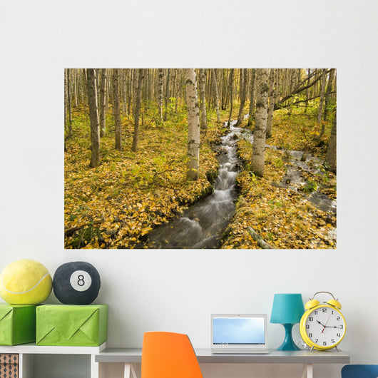 Small Creek Flows Through Autumn Leaf Covered Forest Floor Wall Mural