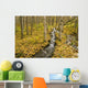Small Creek Flows Through Autumn Leaf Covered Forest Floor Wall Mural