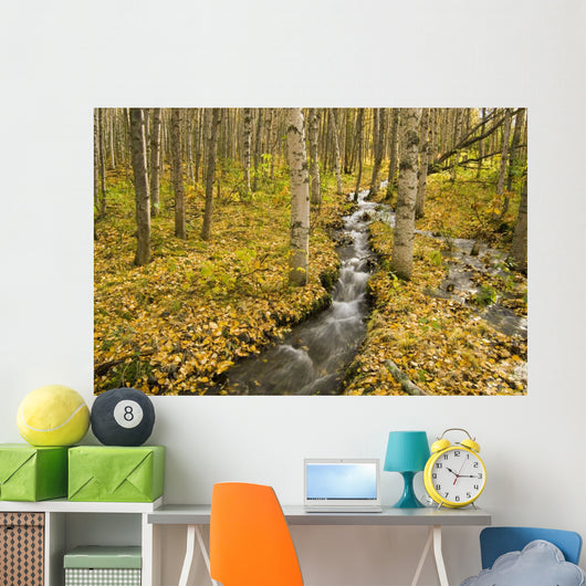 Small Creek Flows Through Autumn Leaf Covered Forest Floor Wall Mural