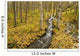 Small Creek Flows Through Autumn Leaf Covered Forest Floor Wall Mural