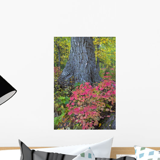 Cranberry Bush And Cottonwood Tree Along Crow Pass Trail Wall Mural