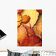 Closeup Of Dwarf Birch Leaves Autumn Wall Mural