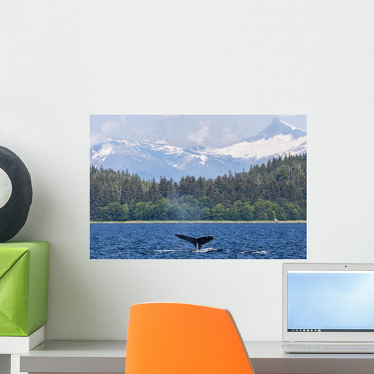 Humpback Whale Diving In Seymour Canal With Sum Dum Mountain Wall Mural