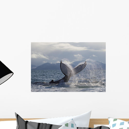 Humpback Whale Tail Slapping Surface Of Prince William Sound Wall Mural