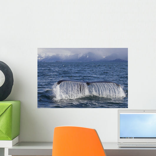 Humpback Whale Fluking With Water Cascading Wall Mural